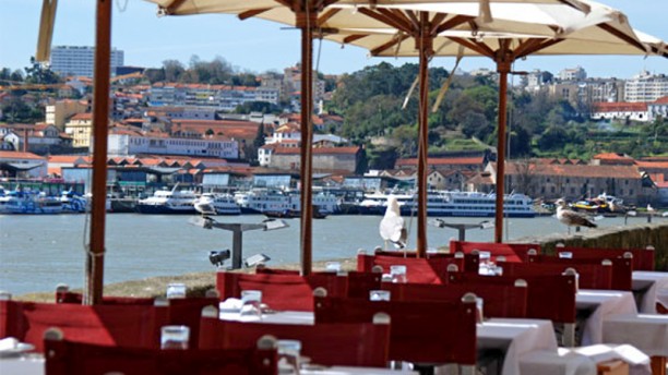 D. Tonho Porto