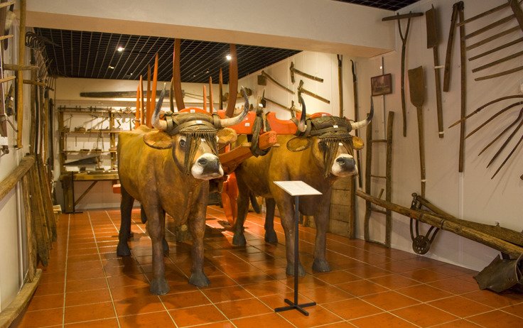 Museu Rural de Salselas localizado em Salselas Macedo de Cavaleiros