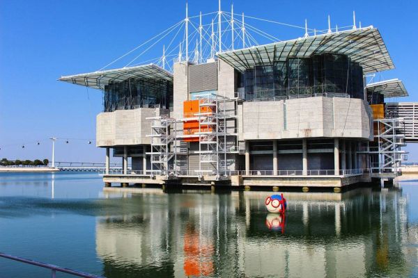 O oceanário de Lisboa foi reconhecido pela terceira vez como o melhor aquário do mundo