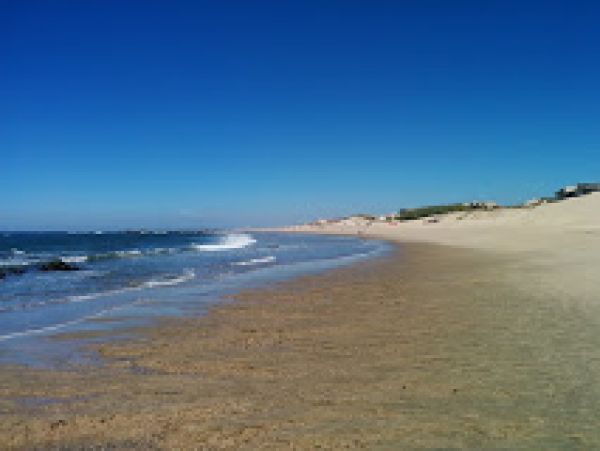 O que visitar em Caminha os 7 melhores locais