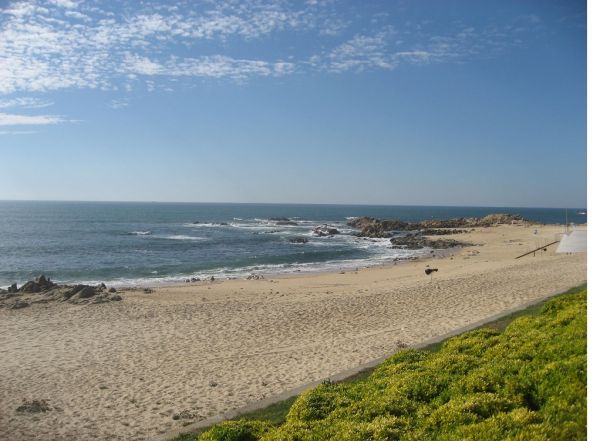 O que fazer em Matosinhos os 9 melhores locais para visitar
