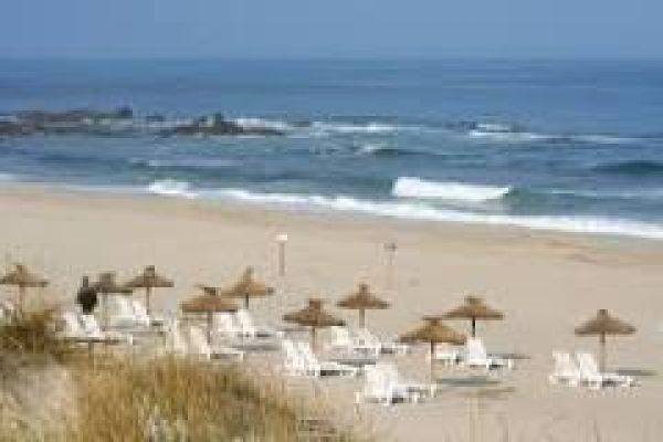 O que fazer no inverno em Vila Nova de Gaia os 18 melhores locais