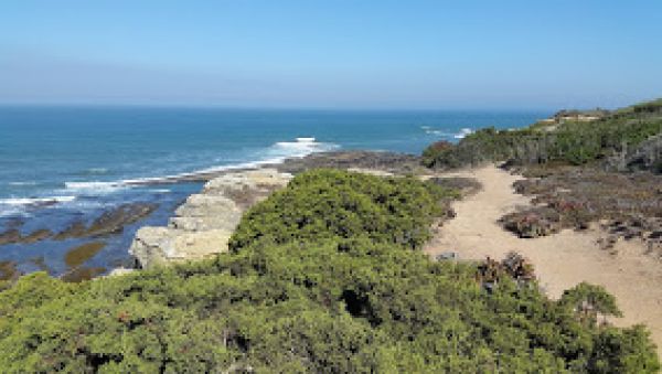 O que fazer na Ericeira os 10 melhores lugares para visitar