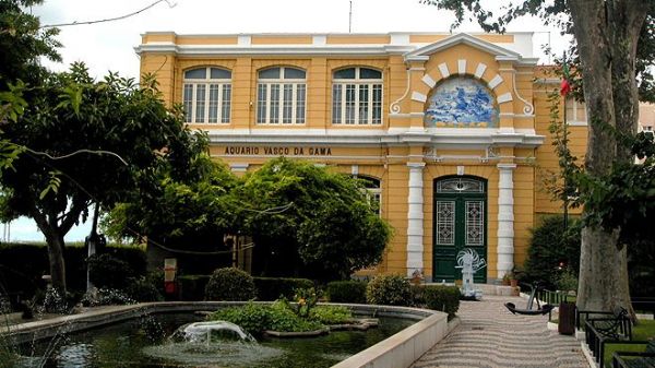 Os 10 melhores pontos turisticos para visitar em Museus