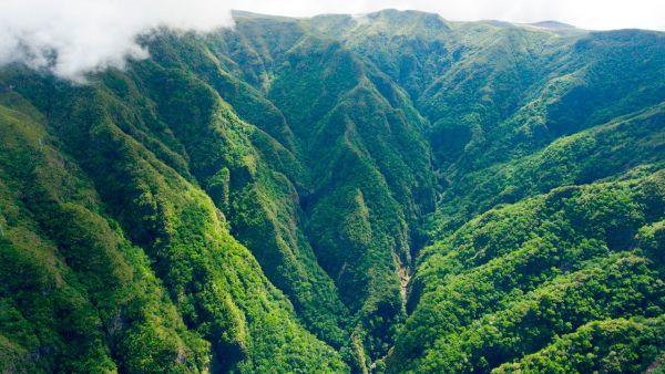 20 coisas para fazer e visitar no inverno na Ilha da Madeira