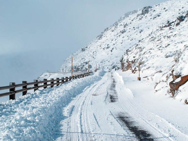 Norte de Portugal acordou cheio de neve Vários concelhos da Beira Alta a Trás-os-Montes pintados de branco