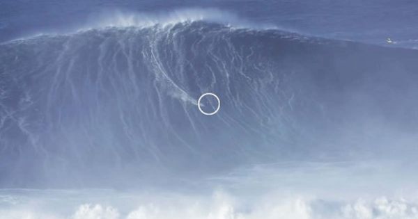 Surfou na Nazaré a maior onda de sempre