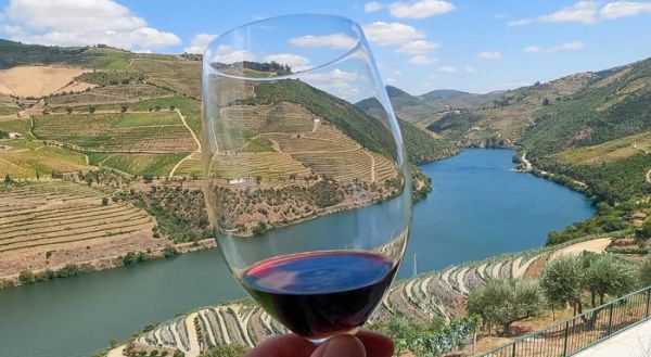 Custa menos de 8 euros é dos melhores vinhos do Douro do ano