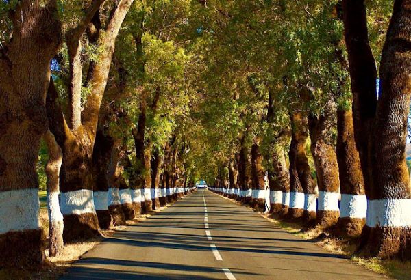 Uma das estradas mais bonitas de Portugal fica no Alentejo