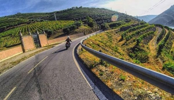 27 km 93 curvas estrada entre Régua e Pinhão eleita a melhor do mundo